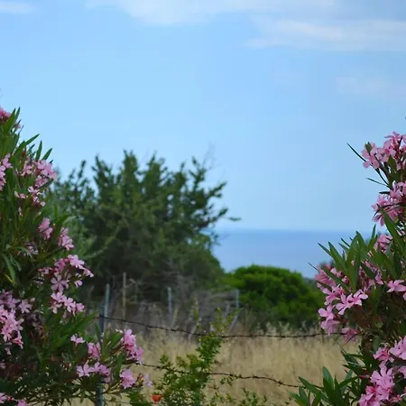 דירה 2 Bedrooms With Sea View And Furnished Balcony At 4 Km Away From The דורגלי
